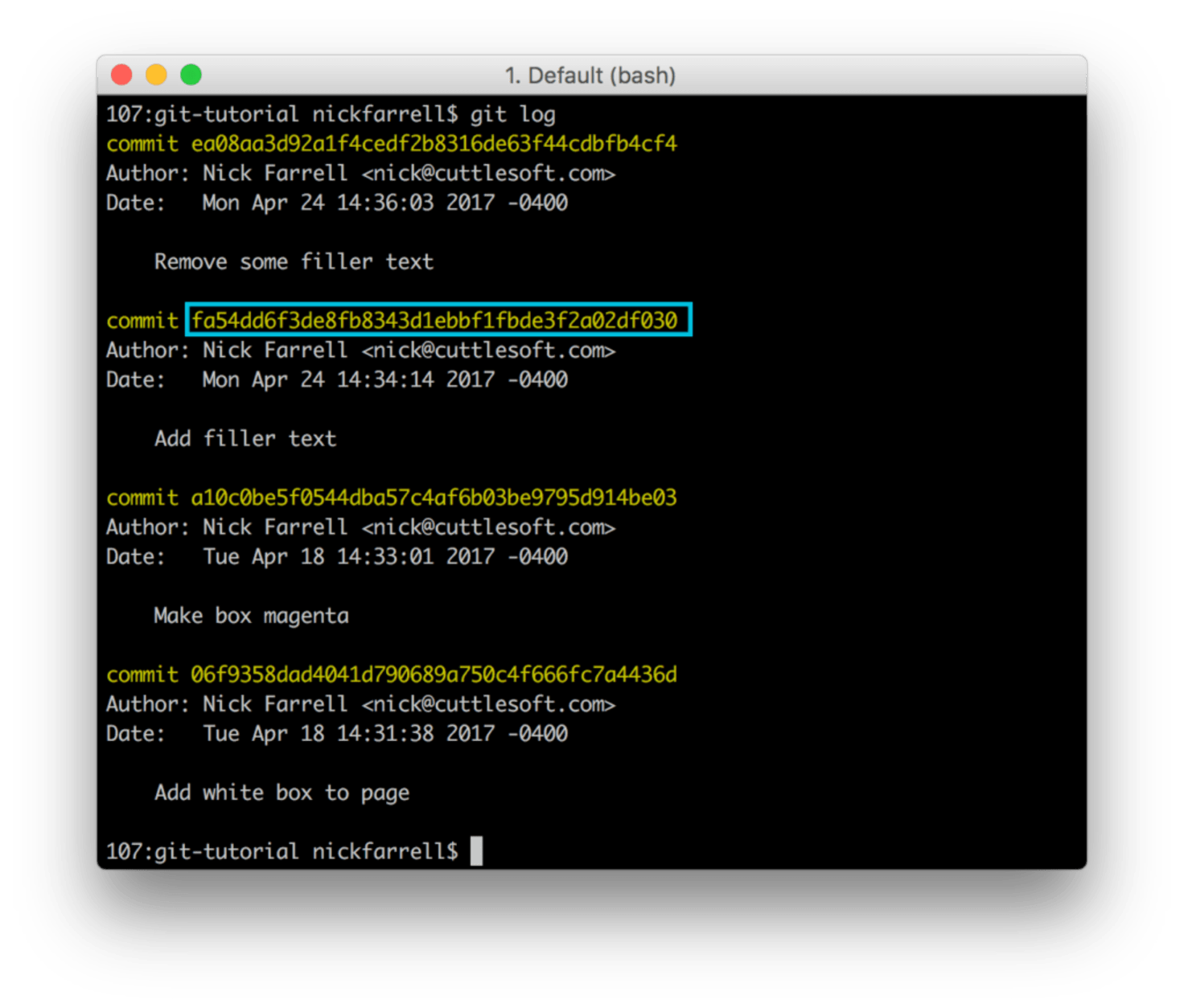 A screenshot of a UNIX terminal with the output of the git log command to illustrate how one can retrieve a commit hash.