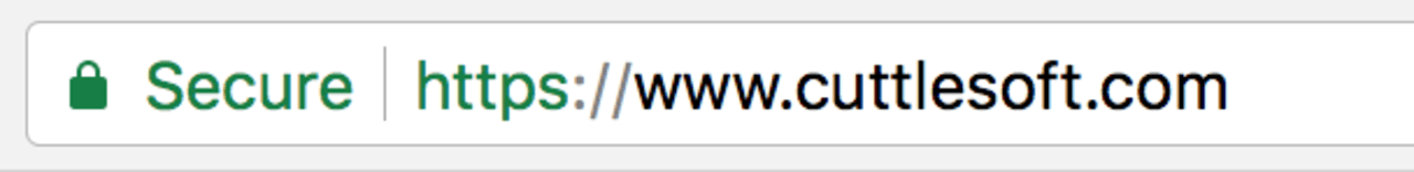 A valid HTTPS connection with a trusted SSL certificate in Google Chrome's address bar
